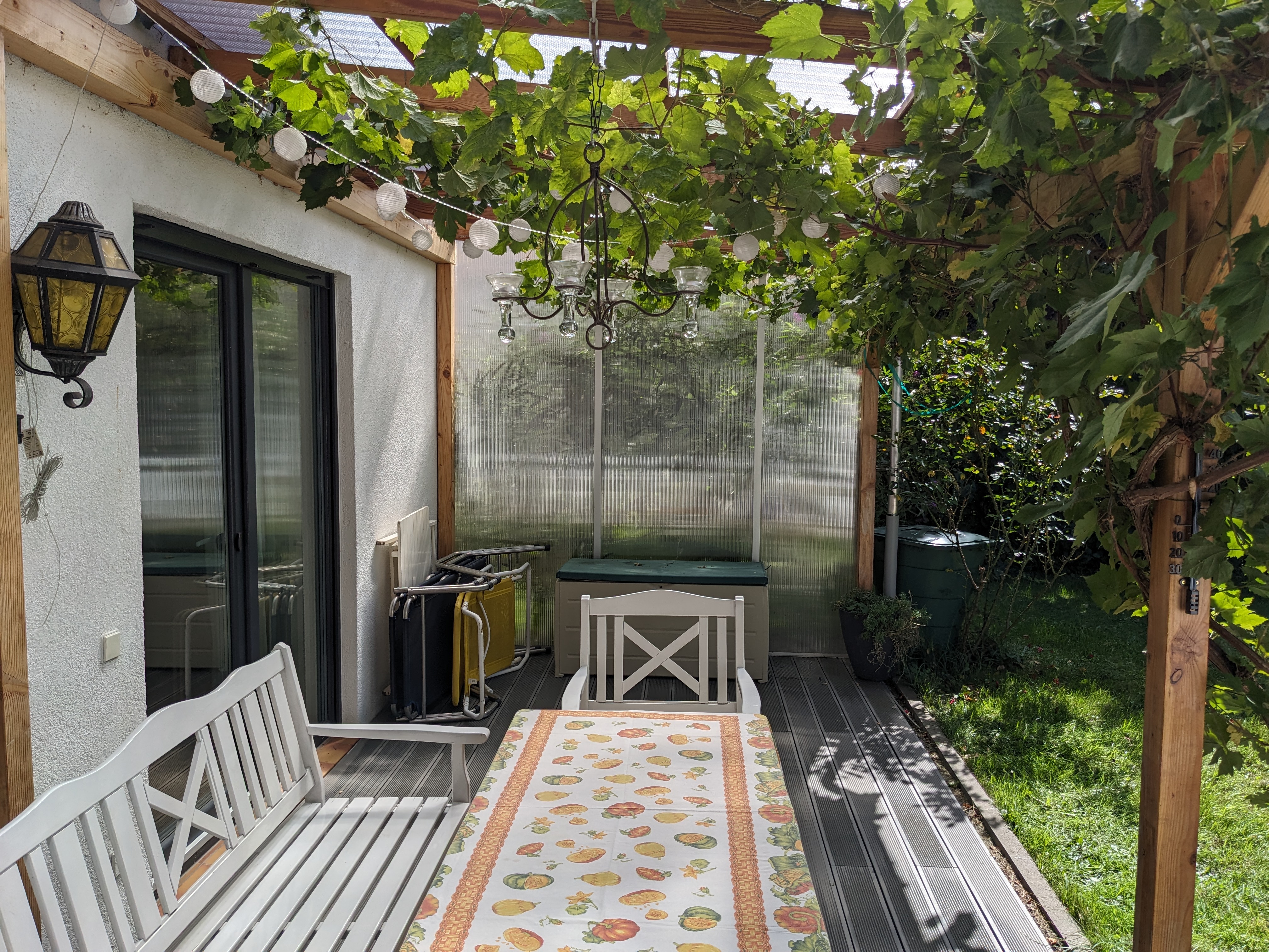 View of the whole patio. A bright and airy, inviting space. The vine spreading across the roof well above head height, and an autumn-themed tablecloth finishing the ambience.