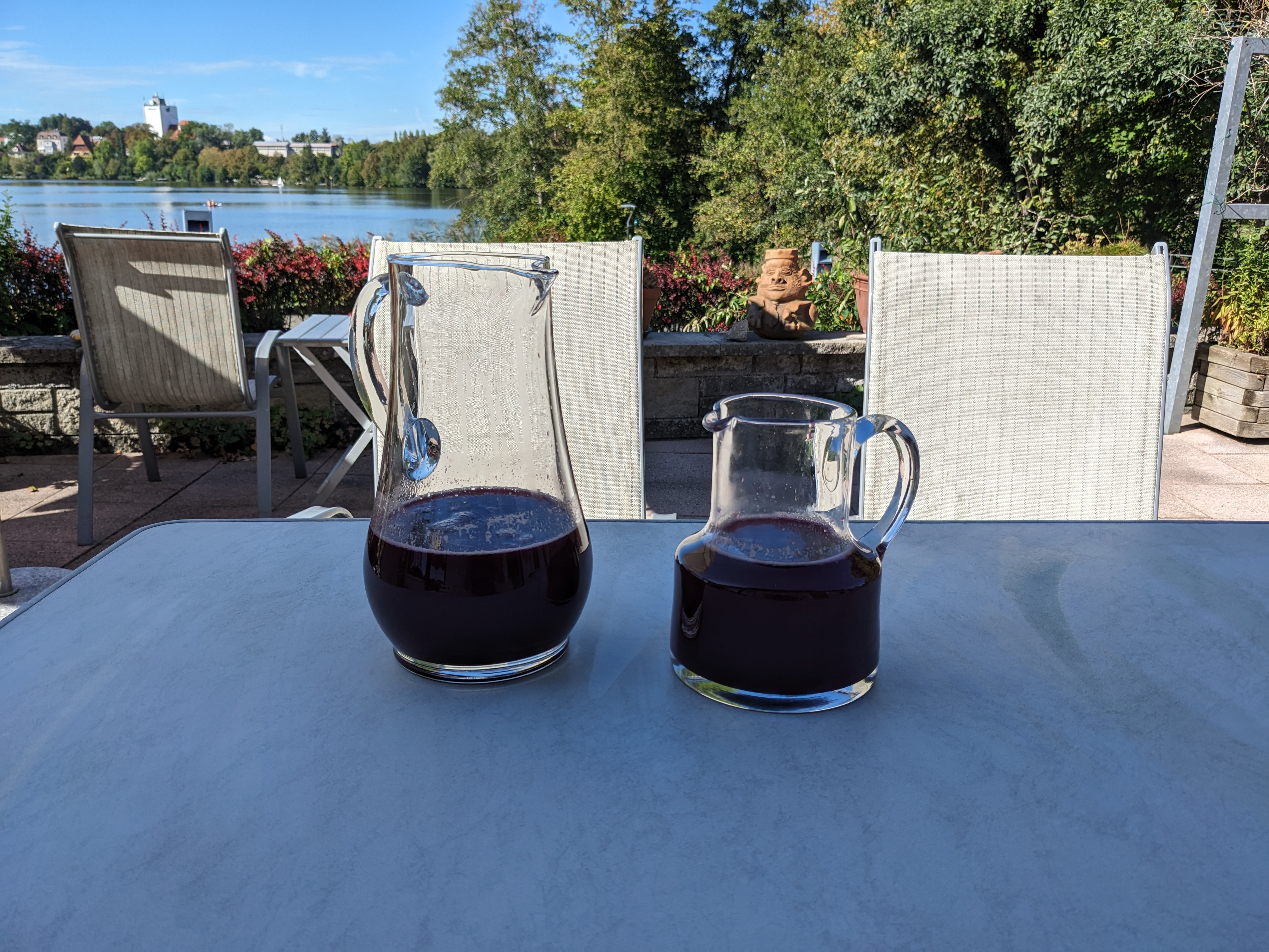 Two glass jugs with freshly-pressed grape juice, a lovely dark Burgundy. Each jug has about 1.5 litres of juice.